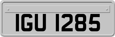 IGU1285