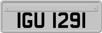 IGU1291