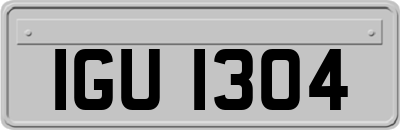 IGU1304