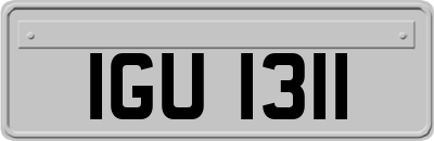 IGU1311