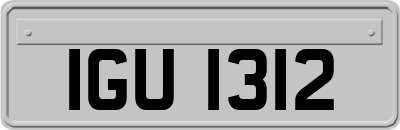 IGU1312