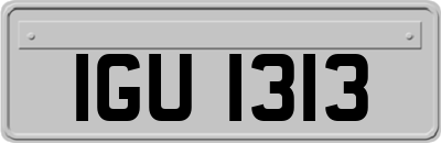 IGU1313
