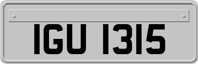IGU1315