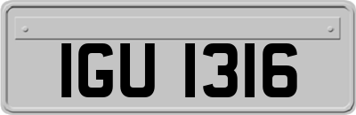 IGU1316