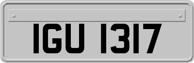 IGU1317