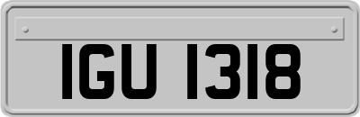 IGU1318