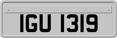 IGU1319