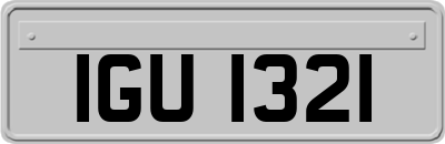 IGU1321