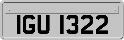 IGU1322