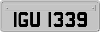 IGU1339