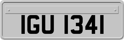 IGU1341