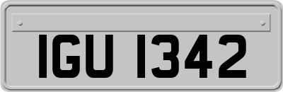 IGU1342