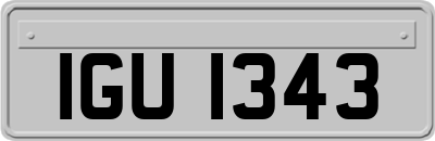 IGU1343