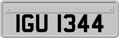 IGU1344