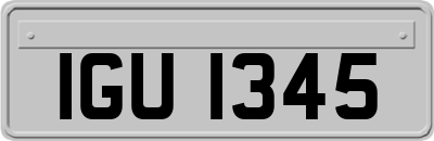 IGU1345