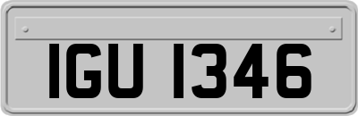 IGU1346