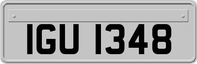 IGU1348
