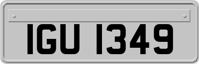IGU1349
