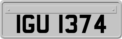 IGU1374