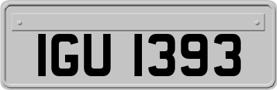 IGU1393