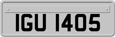 IGU1405