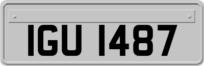 IGU1487
