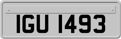 IGU1493