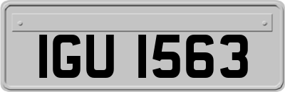 IGU1563