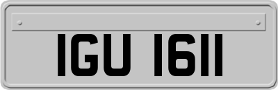 IGU1611
