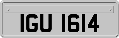 IGU1614