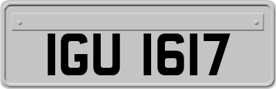 IGU1617