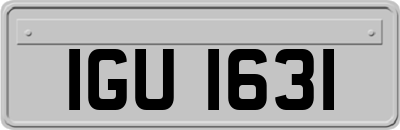 IGU1631
