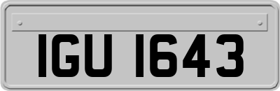 IGU1643