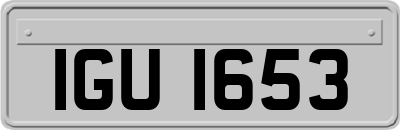 IGU1653