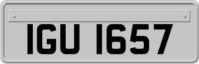 IGU1657