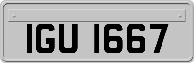 IGU1667