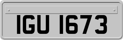 IGU1673