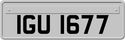 IGU1677