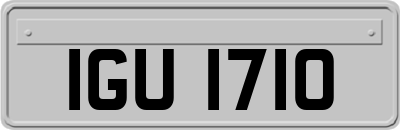 IGU1710