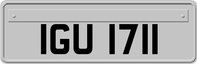 IGU1711