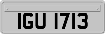 IGU1713