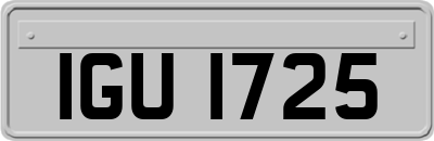 IGU1725