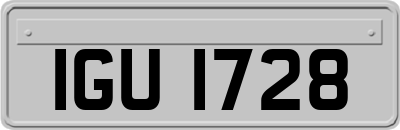 IGU1728