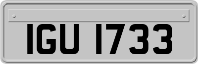 IGU1733