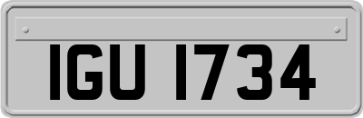 IGU1734