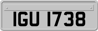 IGU1738