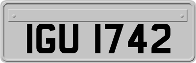 IGU1742
