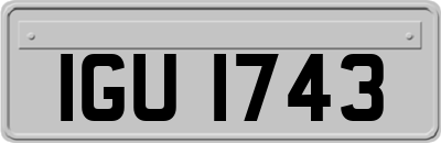 IGU1743
