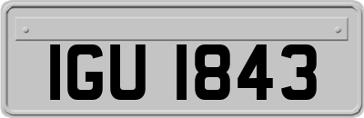 IGU1843