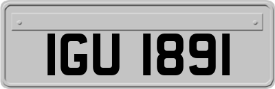 IGU1891